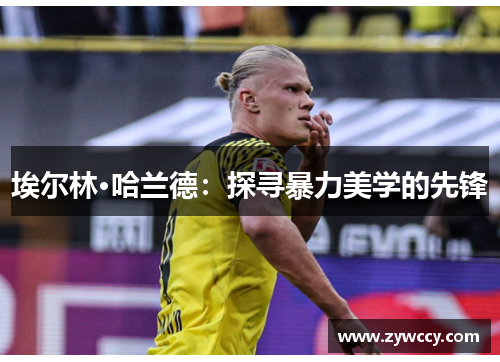 埃尔林·哈兰德:探寻暴力美学的先锋 埃尔林·哈兰德:探寻暴力美学的先锋